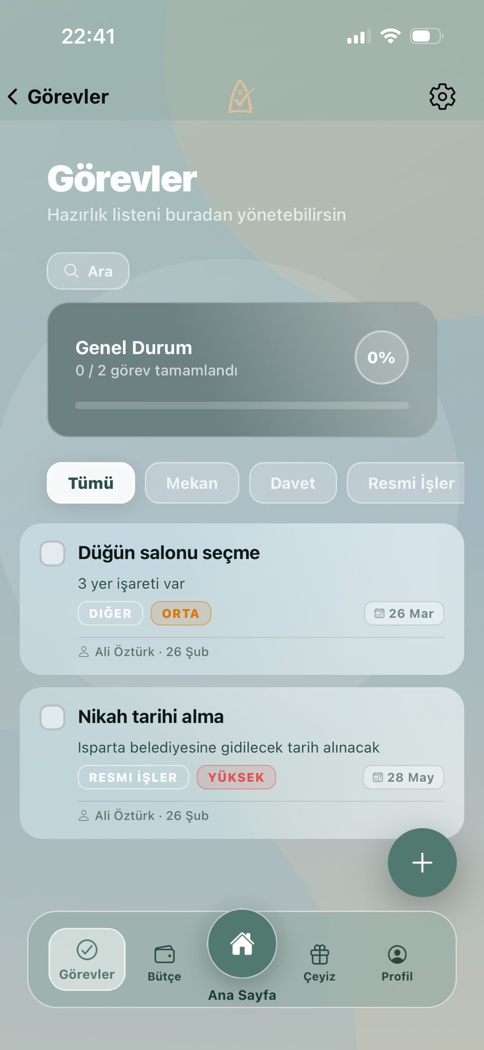 Bütçe kalemleri ekranı